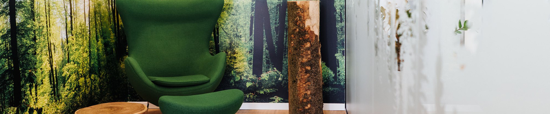 Ruhebereich-Forest-zum-zurückziehen